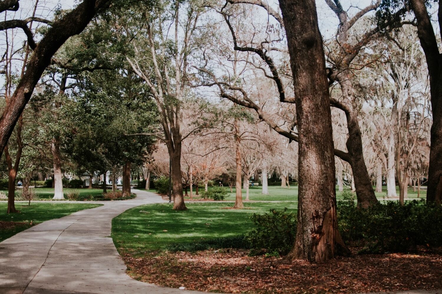 A winding path through a leafy community park